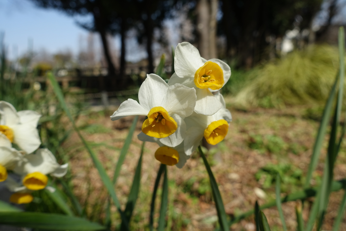 f:id:ktake0606:20220301122435j:plain