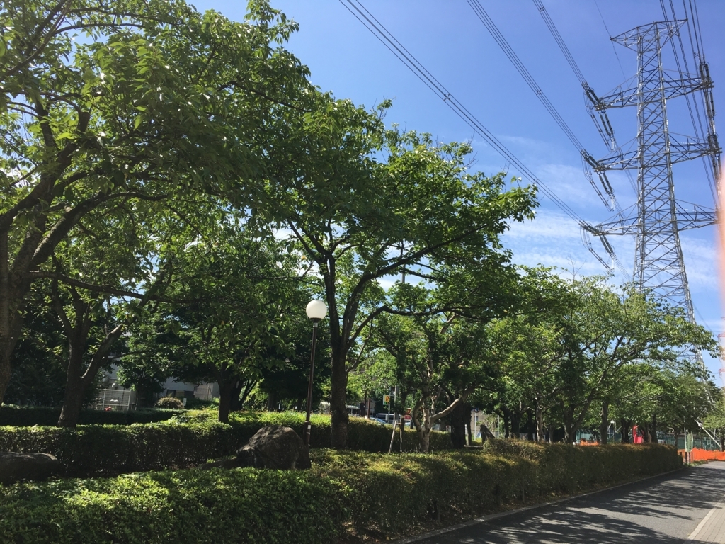 f:id:ktakeshi1214:20170731132249j:plain f:id:ktakeshi1214:20170731132249j:plain