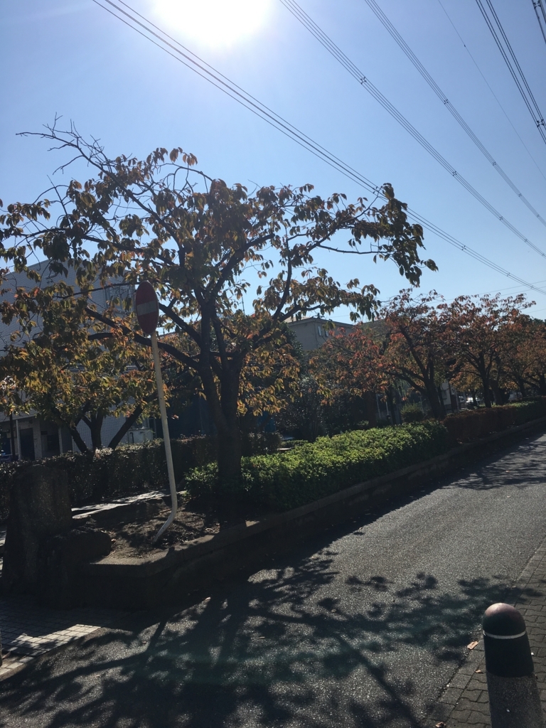 f:id:ktakeshi1214:20171105235802j:plain f:id:ktakeshi1214:20171105235802j:plain
