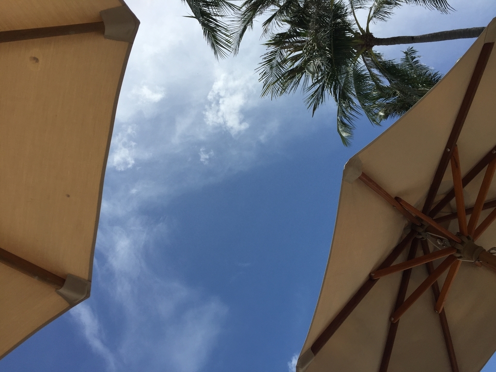 f:id:ktane:20181017195912j:plain f:id:ktane:20181017195912j:plain