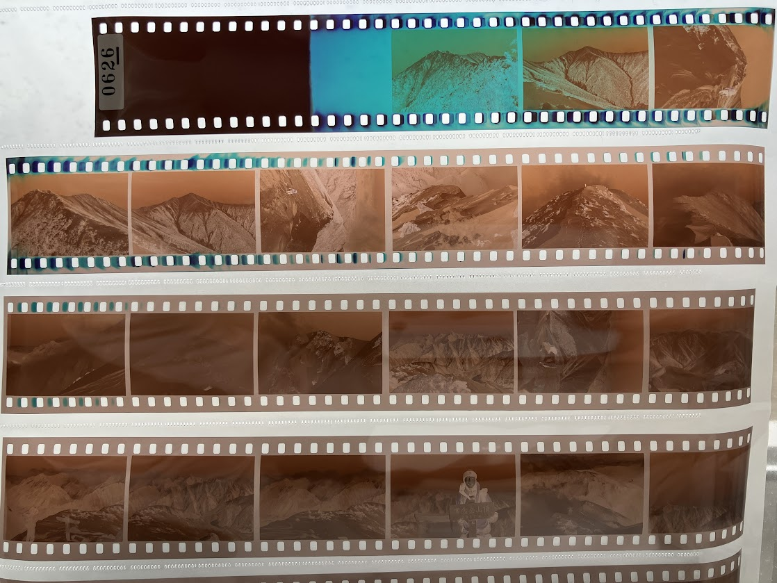 カラーネガ フィルム 写真 カラーネガフィルム - フィルム