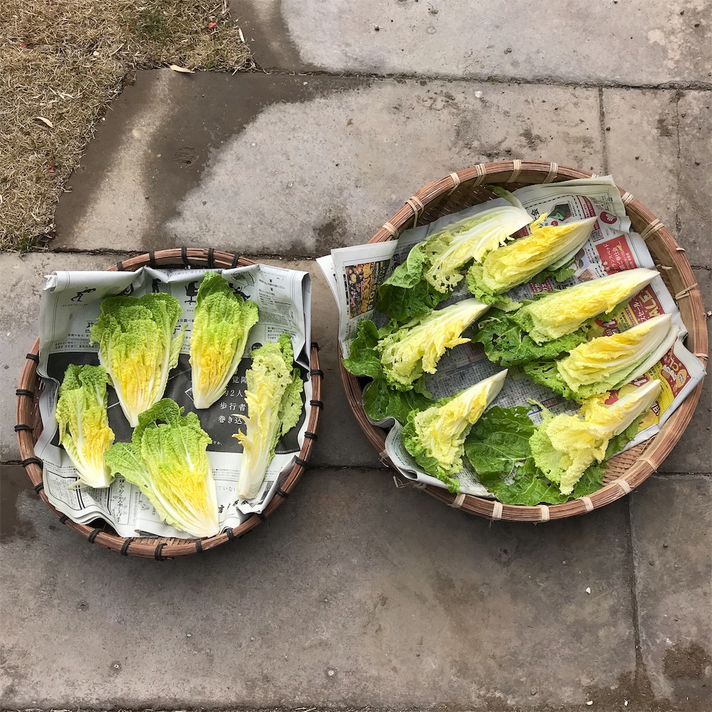 f:id:ktcsm:20190111144211j:image