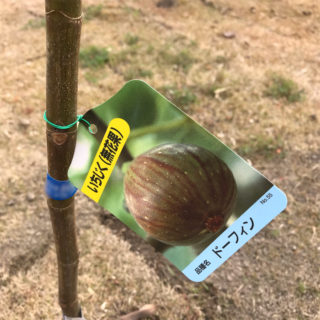 f:id:ktcsm:20190111144552p:image