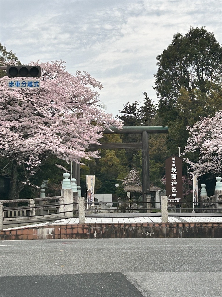 f:id:kthare:20240423230458j:image