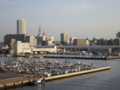 [しらせを探しに]