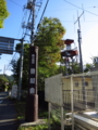 [秩父・御岳山林道]