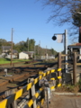 [小湊鉄道を追いかけて]