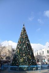 f:id:kthrtty:20120225102629j:image