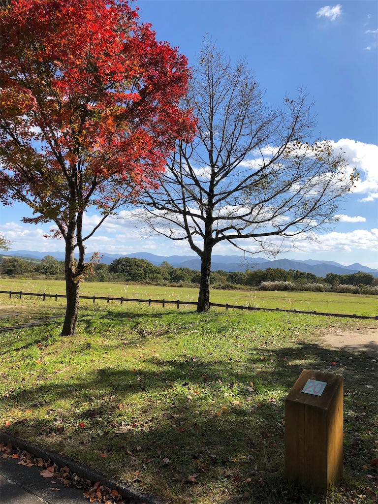 f:id:ktmdsk:20181102202533j:image f:id:ktmdsk:20181102202533j:image