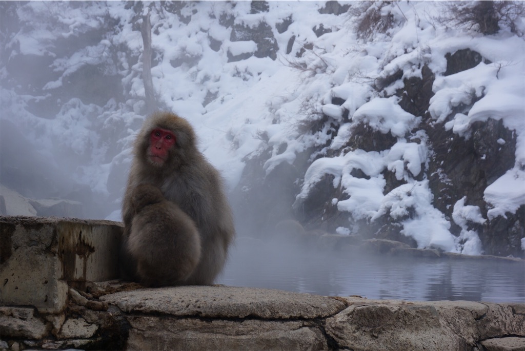 f:id:ktmdsk:20190111001151j:image f:id:ktmdsk:20190111001151j:image