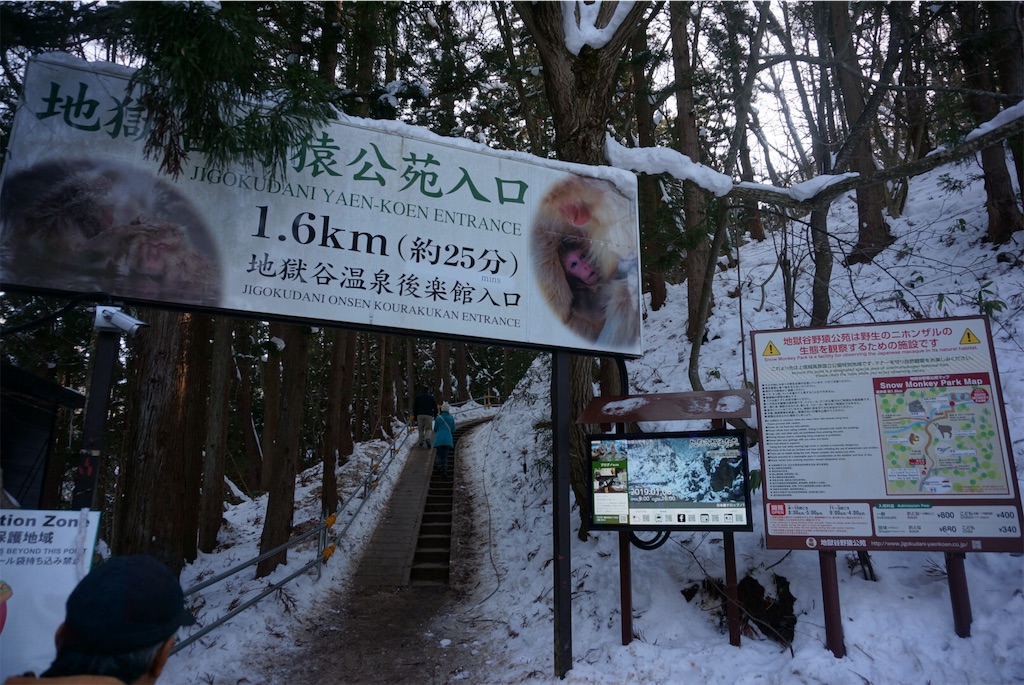 f:id:ktmdsk:20190111082249j:image f:id:ktmdsk:20190111082249j:image