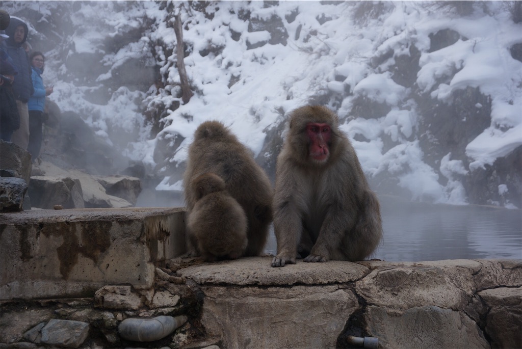 f:id:ktmdsk:20190111152129j:image f:id:ktmdsk:20190111152129j:image
