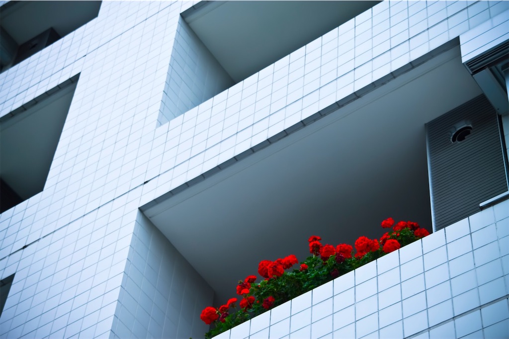f:id:ktmdsk:20190204023604j:image f:id:ktmdsk:20190204023604j:image