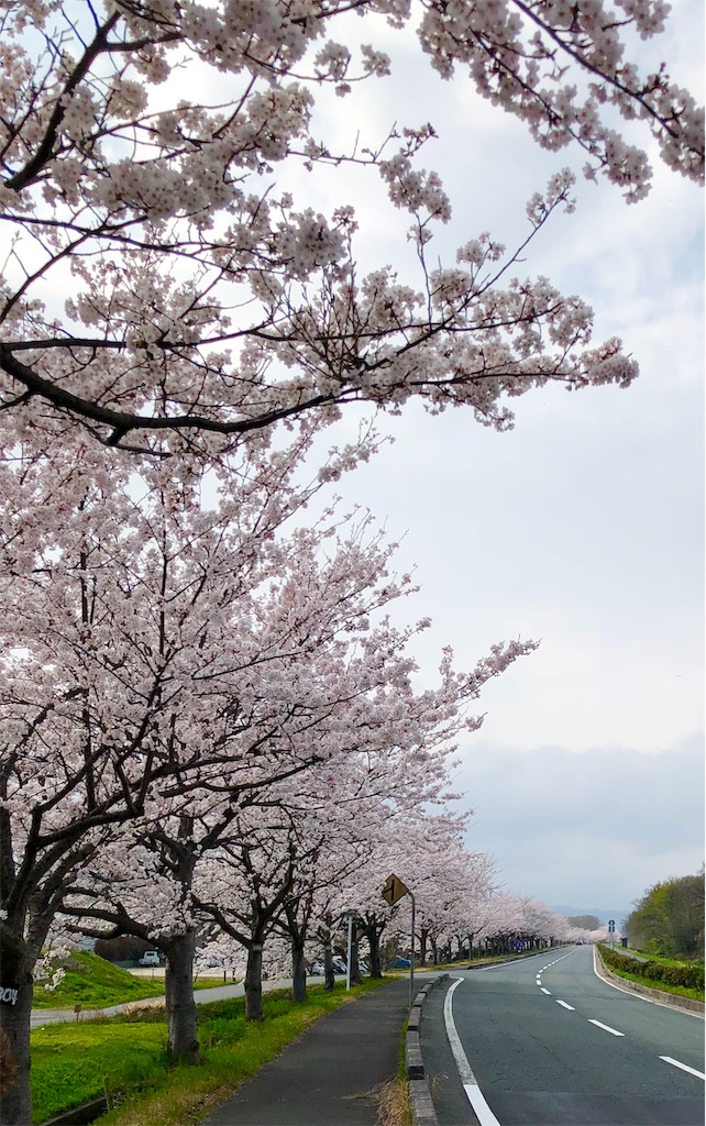 f:id:ktmdsk:20190423182406j:image f:id:ktmdsk:20190423182406j:image