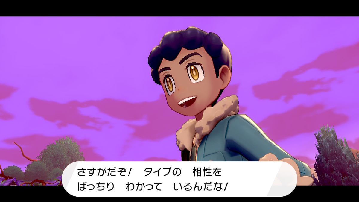 ポケモン剣 盾 刀の盾日記 第2話 研究所と美人助手と特徴的な犬 迷走をひとにぎり