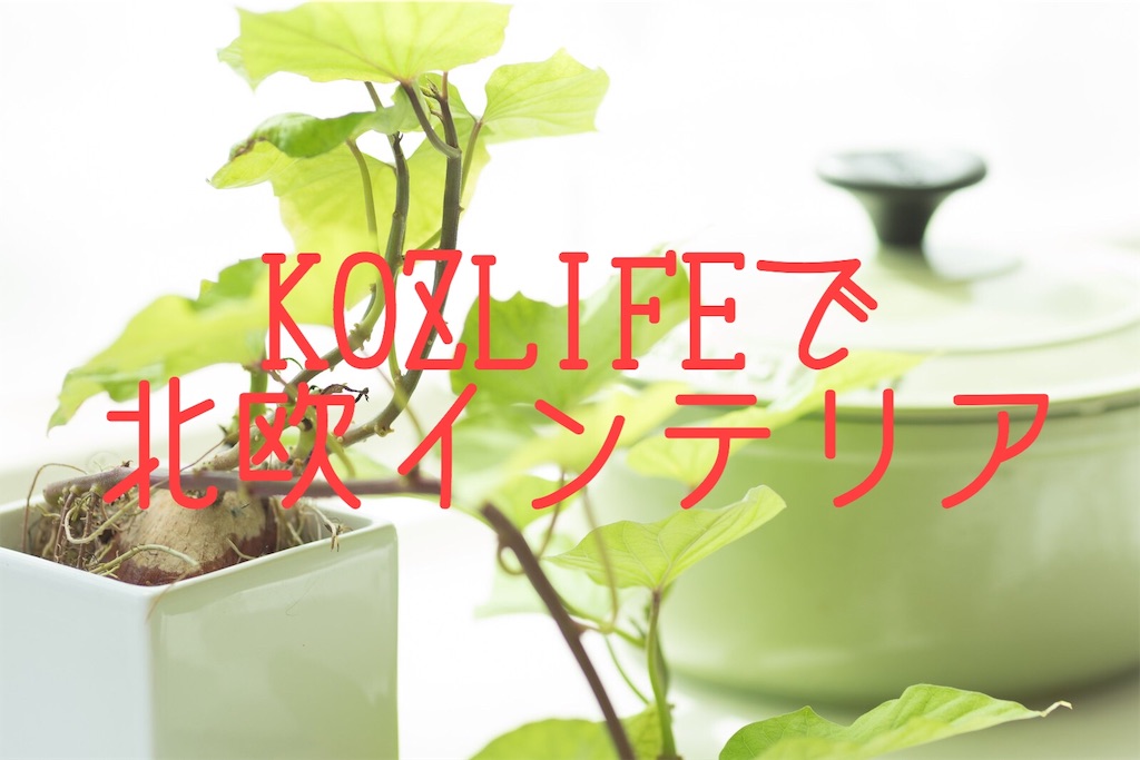 f:id:ktns38:20181126070623j:image f:id:ktns38:20181126070623j:image