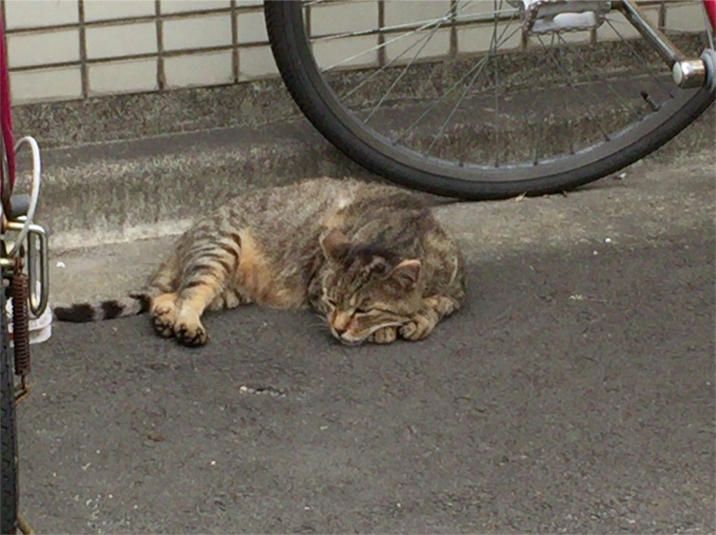 f:id:ktoku3:20160808185958j:image f:id:ktoku3:20160808185958j:image