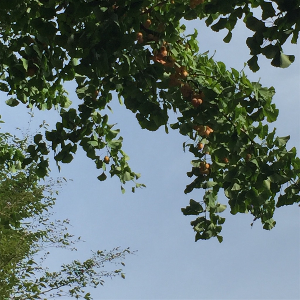 f:id:ktoku3:20180912172505j:image