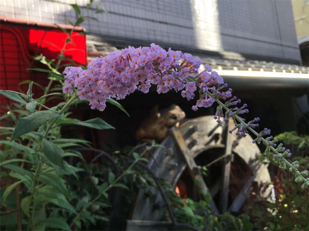 f:id:ktoku3:20180929144731j:image