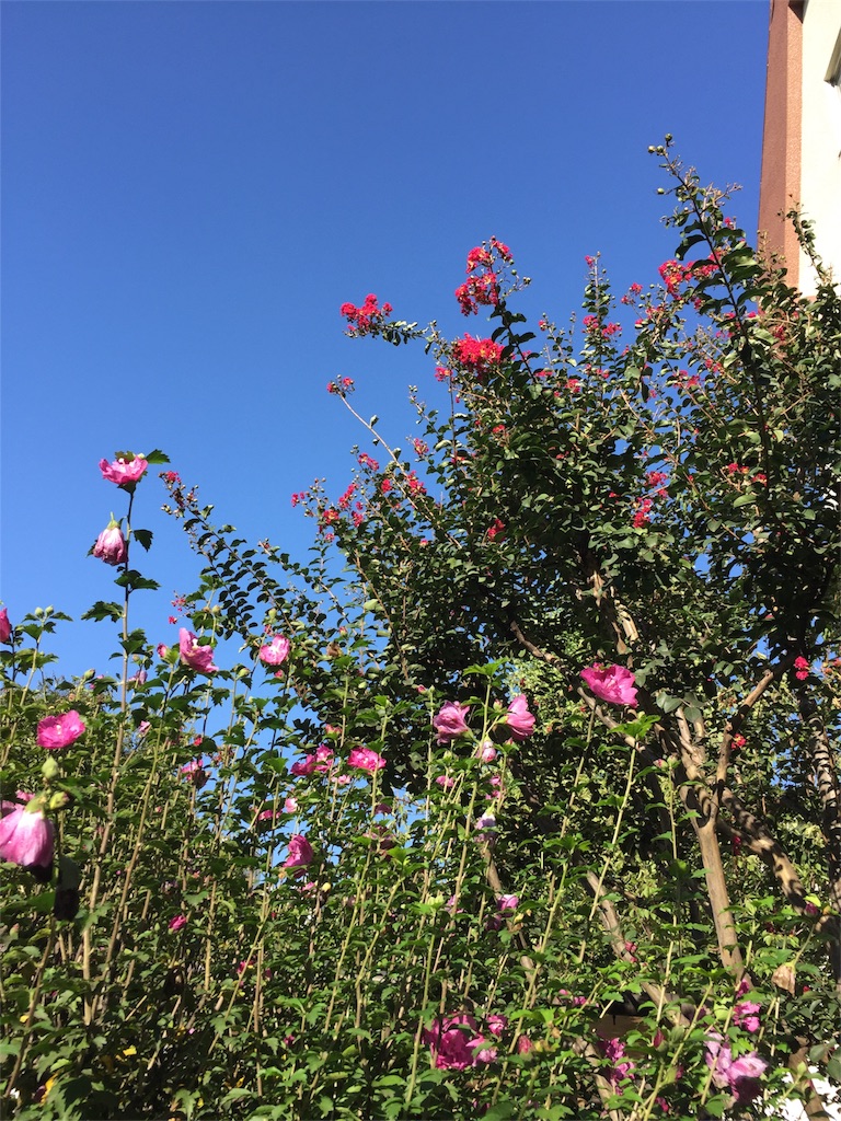 f:id:ktoku3:20180929144810j:image