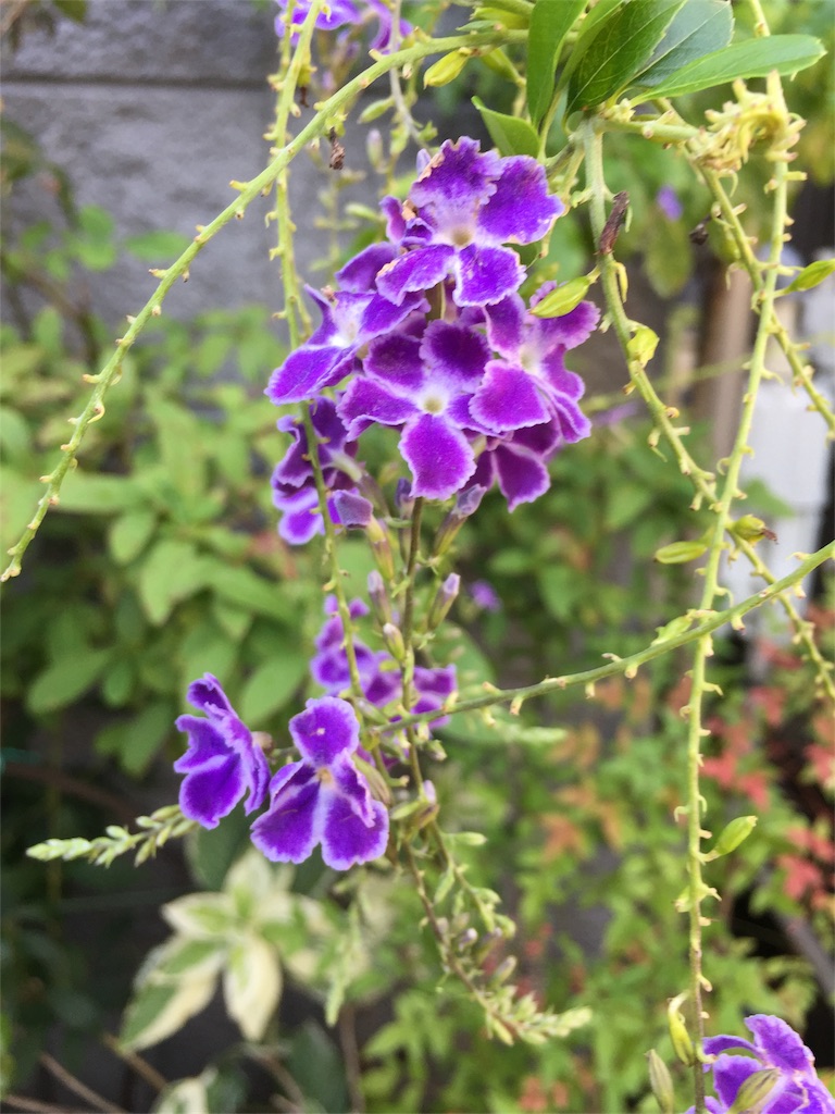 f:id:ktoku3:20180929144822j:image