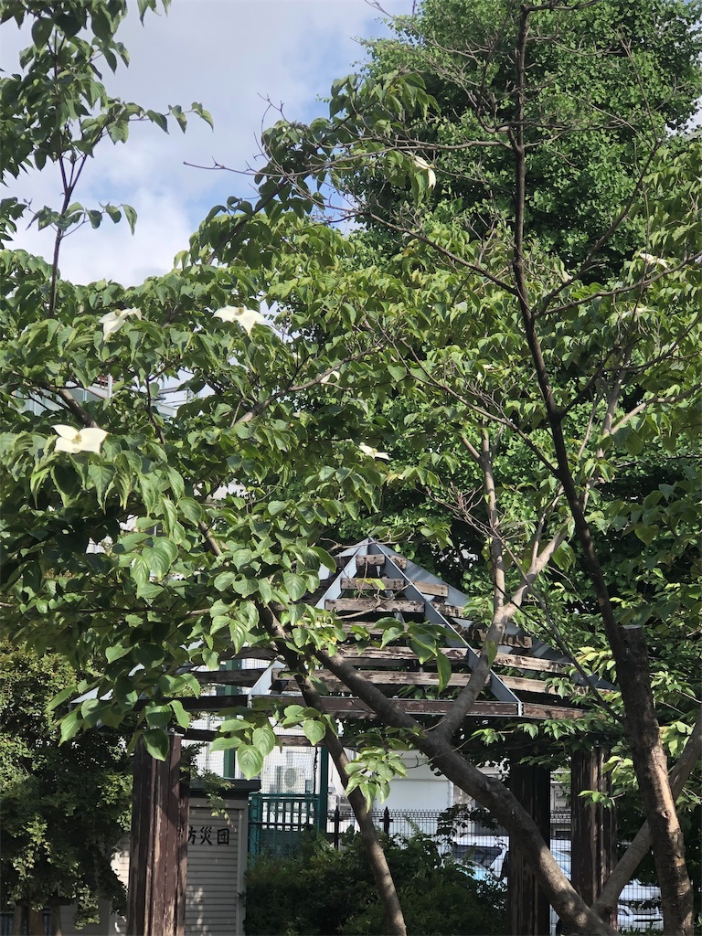 f:id:ktoku3:20190524223127j:image f:id:ktoku3:20190524223127j:image