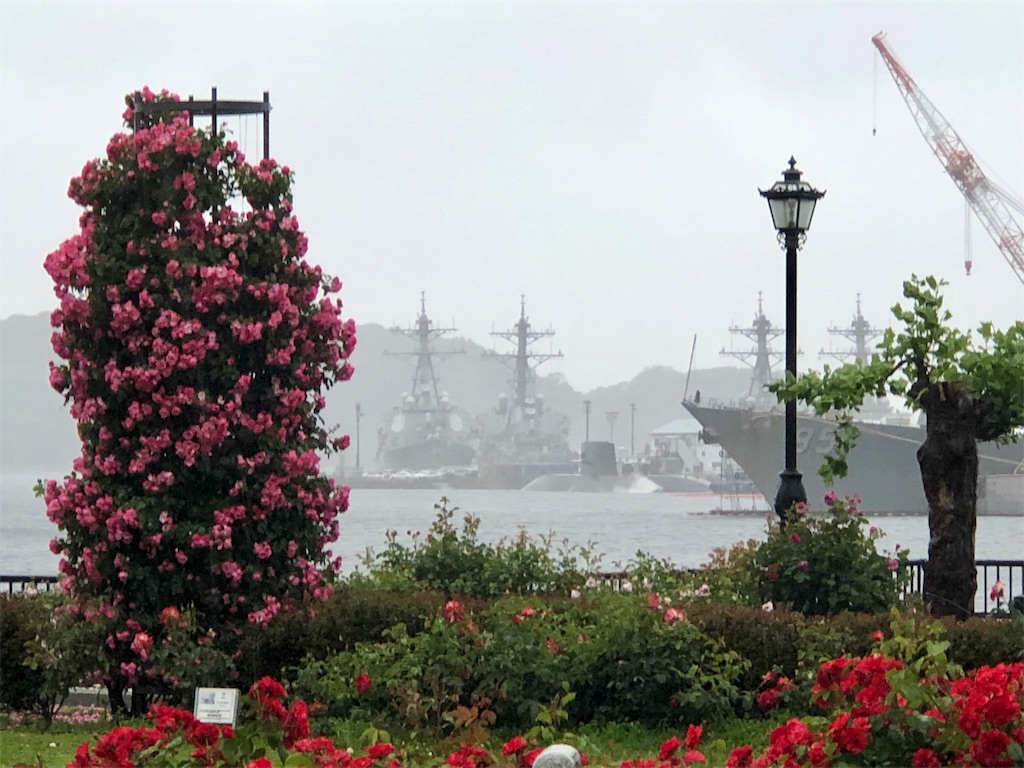 f:id:ktoku3:20190524223953j:image f:id:ktoku3:20190524223953j:image