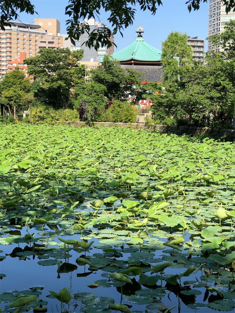 f:id:ktoku3:20190524224802j:image f:id:ktoku3:20190524224802j:image