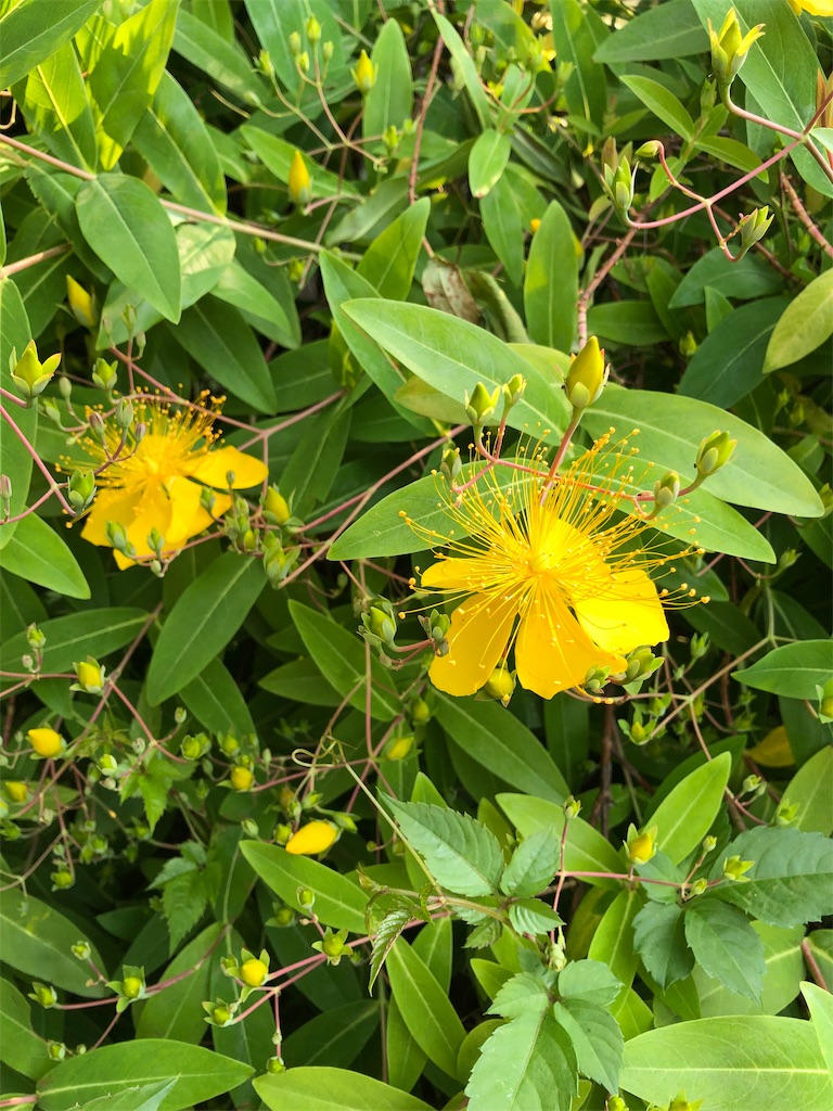 f:id:ktoku3:20190524225101j:image f:id:ktoku3:20190524225101j:image