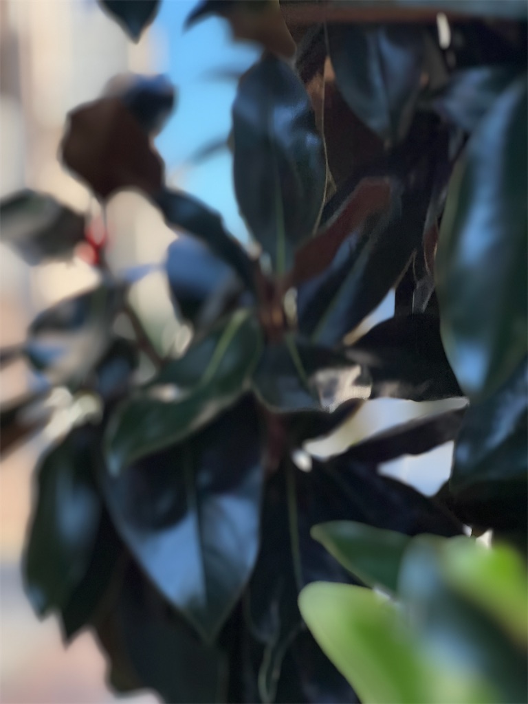 f:id:ktoku3:20240913090924j:image