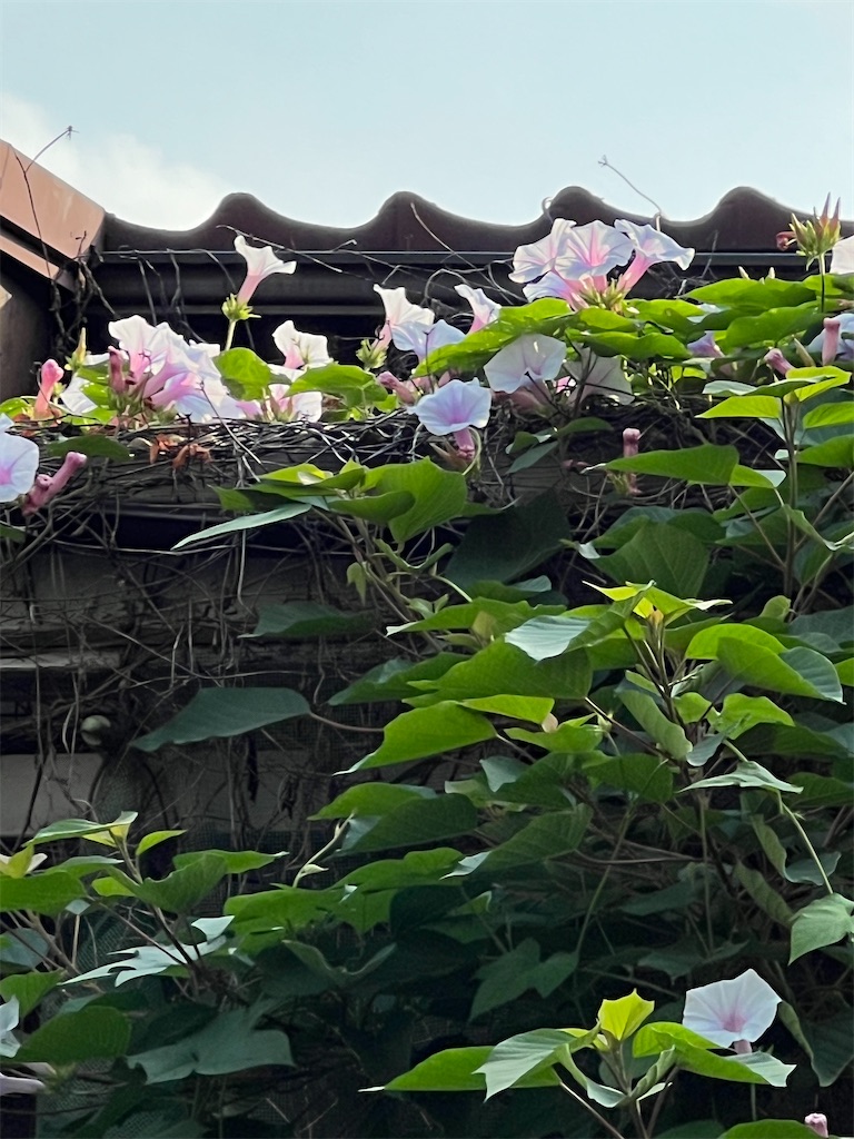 f:id:ktoku3:20260724171004j:image