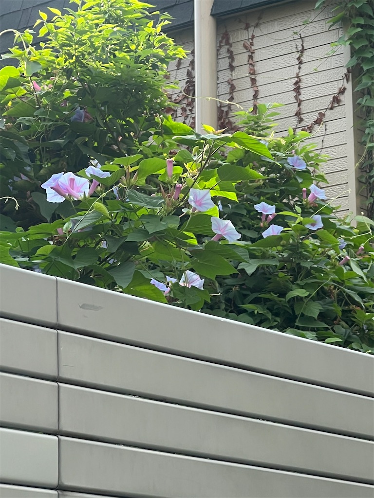 f:id:ktoku3:20260802105908j:image