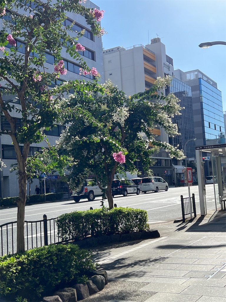f:id:ktoku3:20260807191850j:image