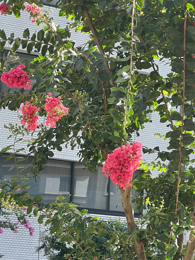 f:id:ktoku3:20260807191901j:image