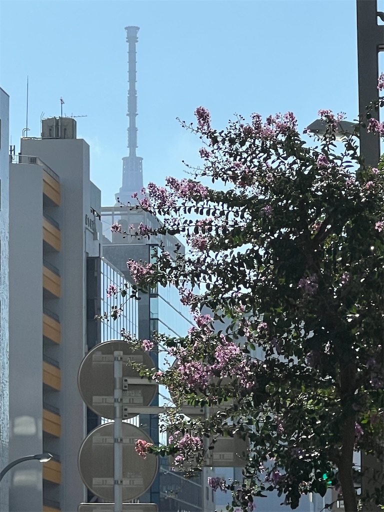 f:id:ktoku3:20260807191905j:image