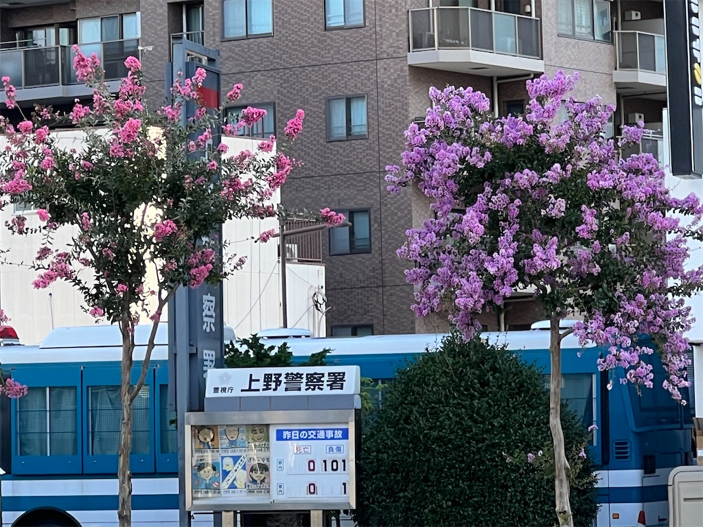 f:id:ktoku3:20260807191910j:image