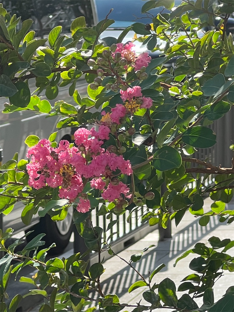 f:id:ktoku3:20260807191921j:image