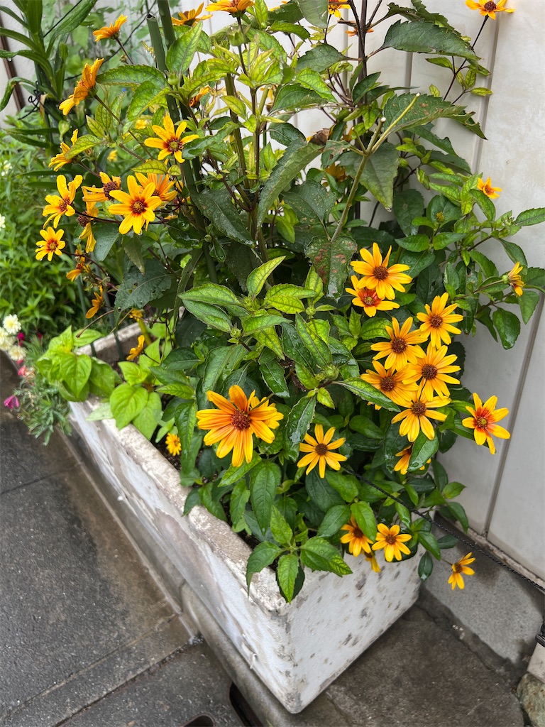 f:id:ktoku3:20260807192605j:image