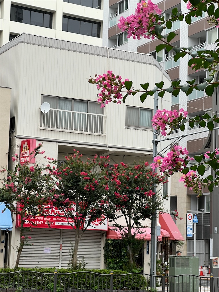 f:id:ktoku3:20260822102305j:image