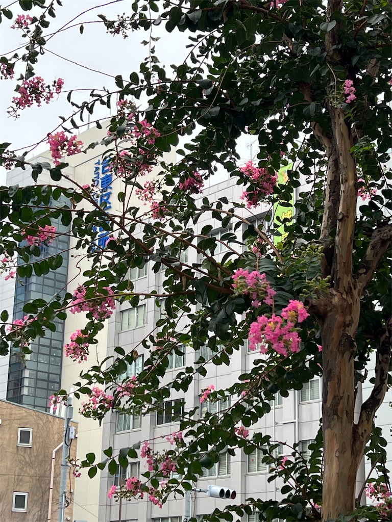 f:id:ktoku3:20260822102314j:image
