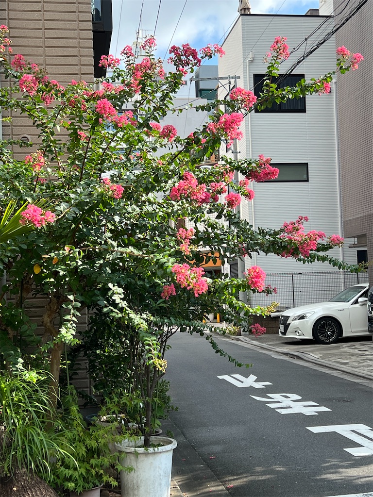 f:id:ktoku3:20260822102442j:image