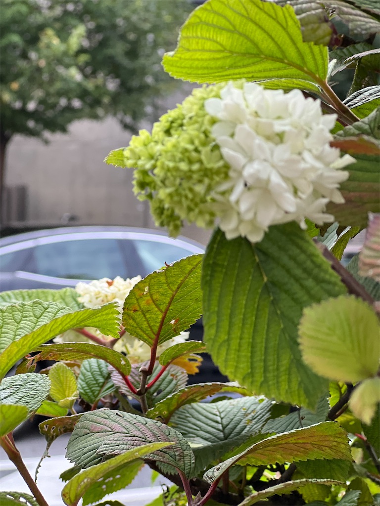 f:id:ktoku3:20260822102535j:image