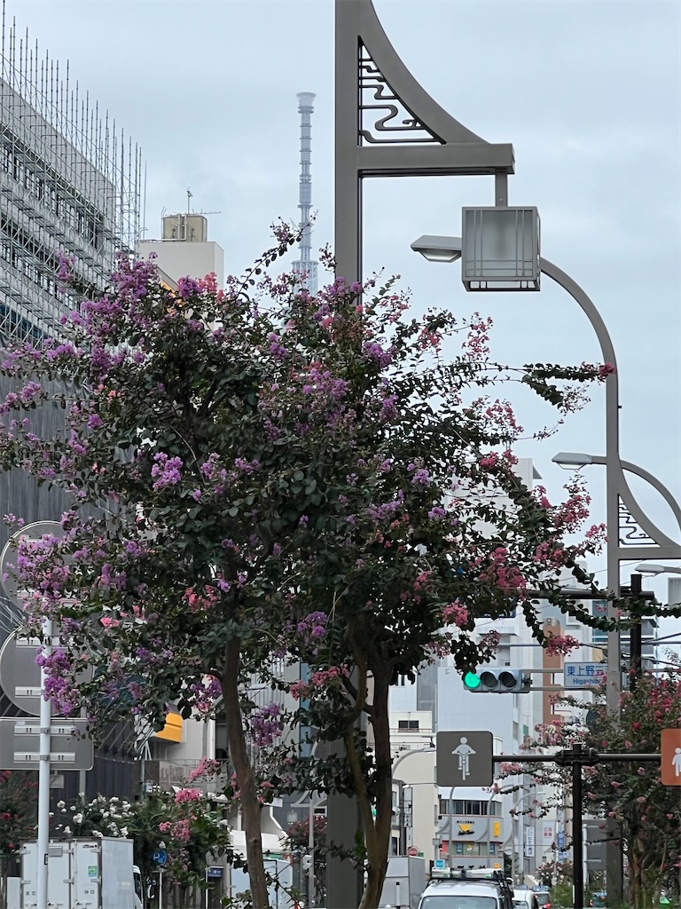 f:id:ktoku3:20260904082824j:image