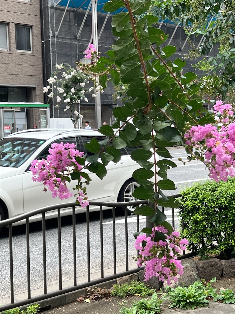 f:id:ktoku3:20260904082831j:image