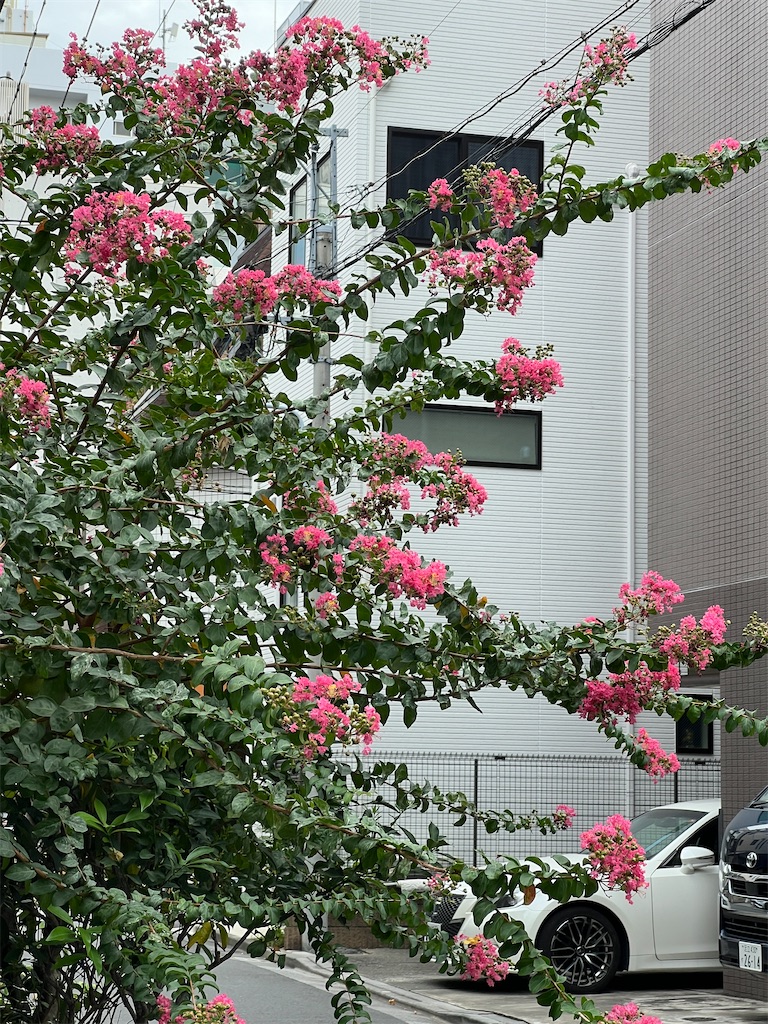 f:id:ktoku3:20260904082838j:image
