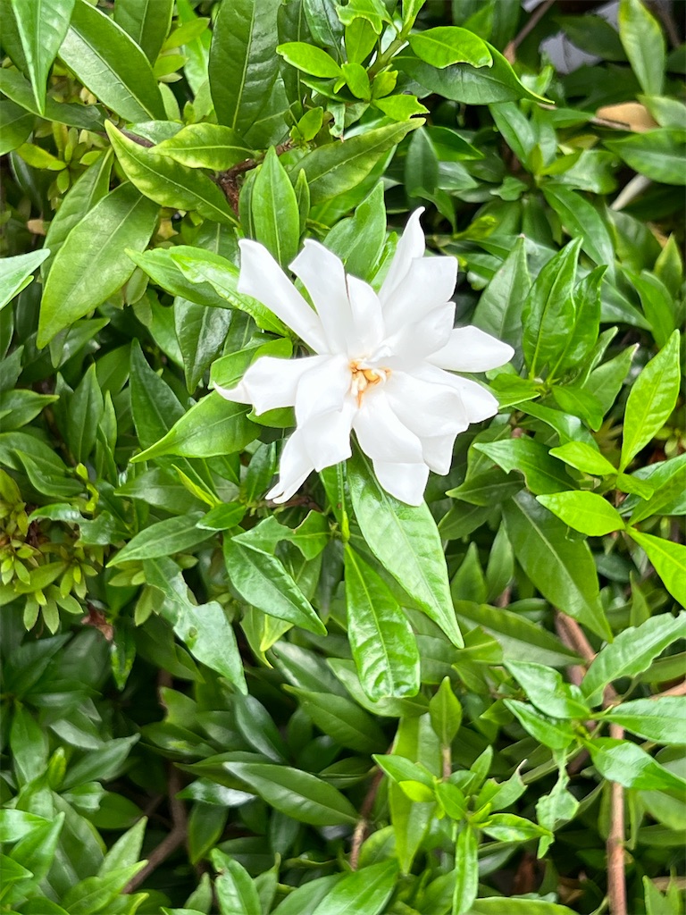 f:id:ktoku3:20260904082843j:image