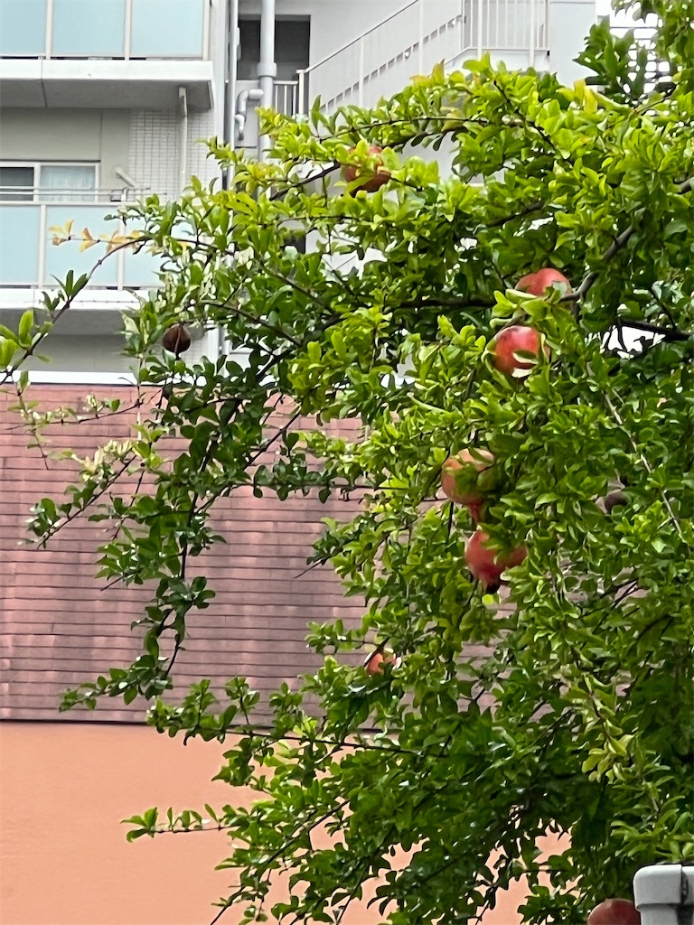 f:id:ktoku3:20260904082846j:image