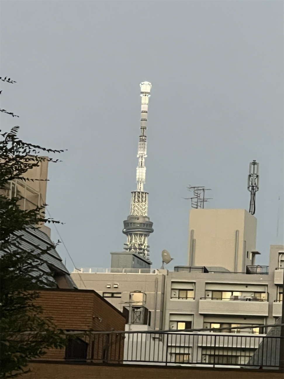 f:id:ktoku3:20261011152703j:image f:id:ktoku3:20261011152703j:image