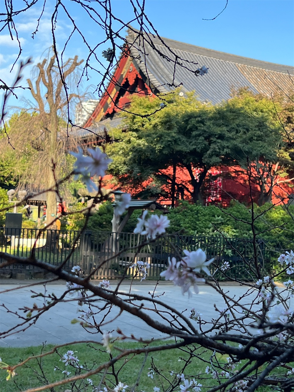f:id:ktoku3:20261011152830j:image f:id:ktoku3:20261011152830j:image