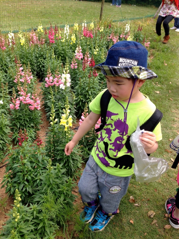 f:id:ktomato:20140620112954j:image:w360:left